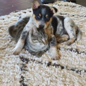 Meet your Posher, Tina